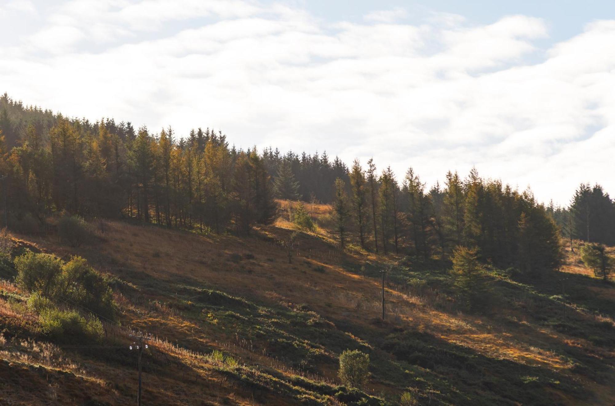 Riverside Great House In The Afan Forest Bike Park By Staystaycations Glyncorrwg Esterno foto